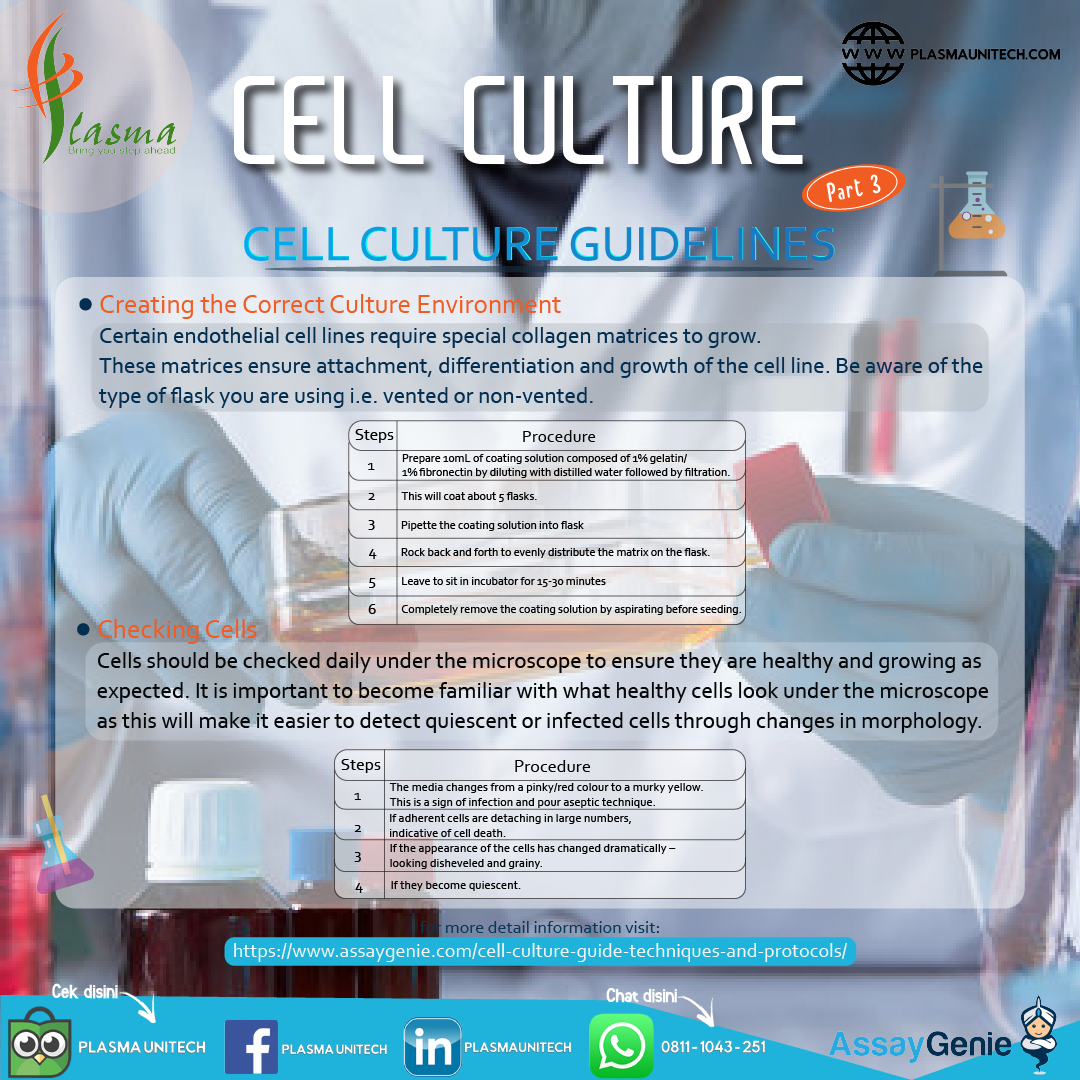 CELL CULTURE - WHAT IS CELL CULTURE? PART 3