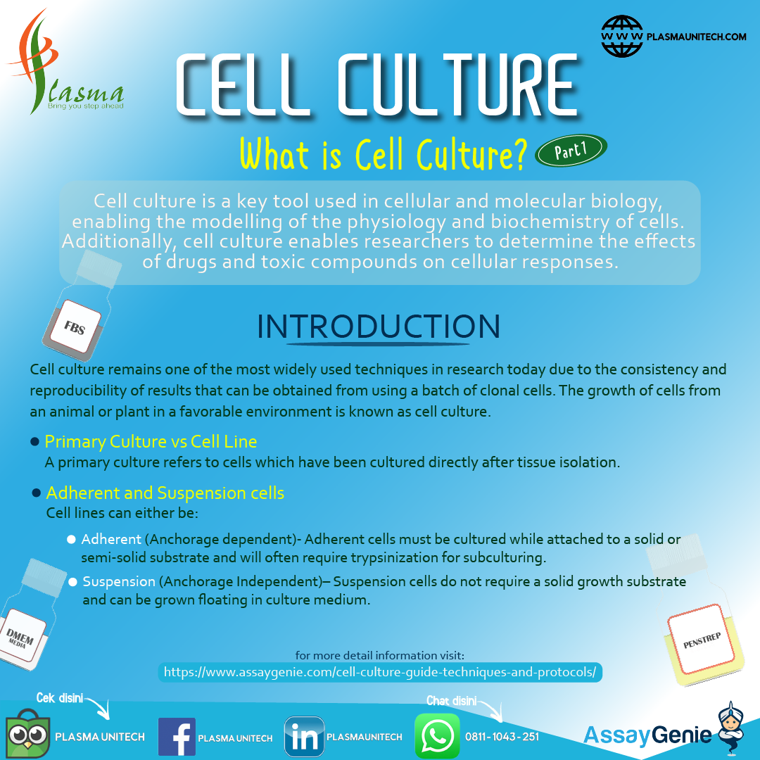 Cell Culture - What is Cell Culture?
