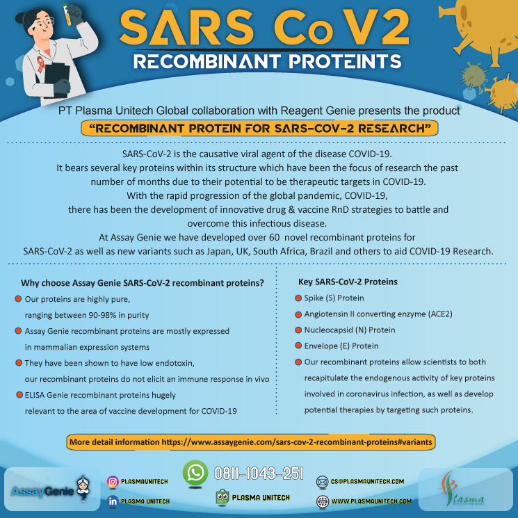 Recombinant Proteins for SARS-CoV-2 Research